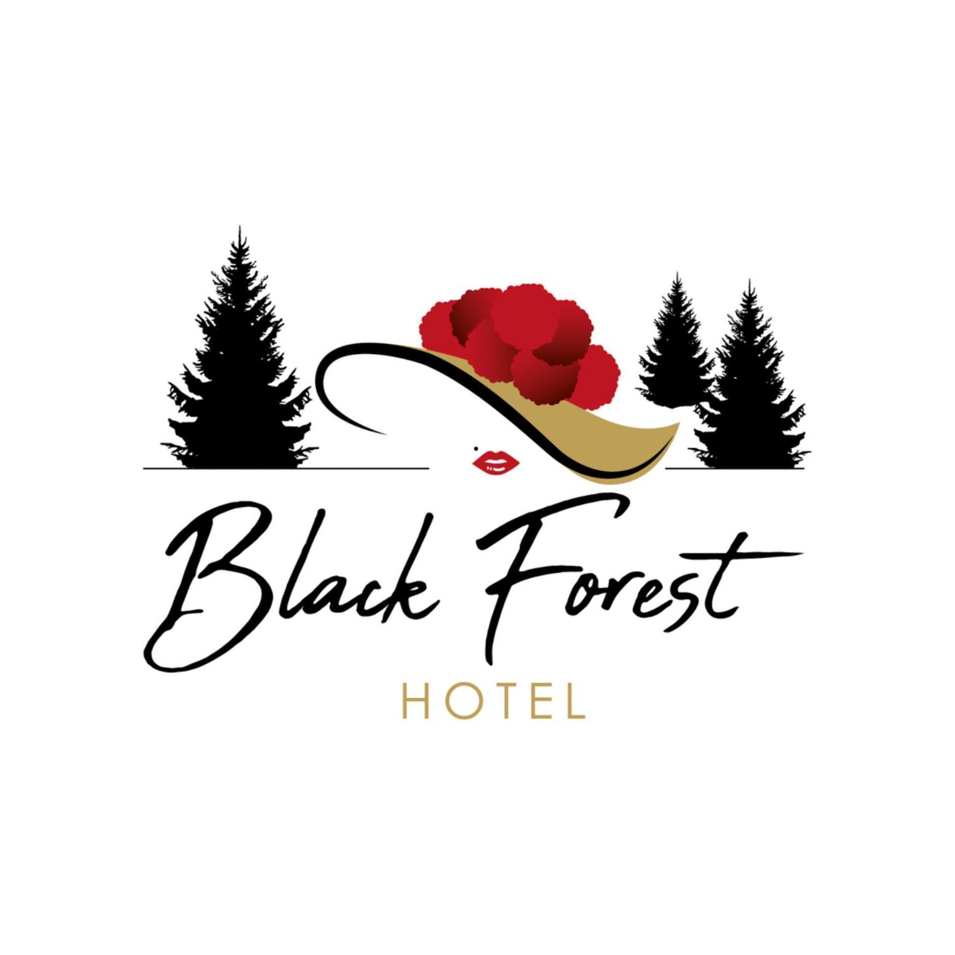 Black Forest Hotel Todtnau Zewnętrze zdjęcie
